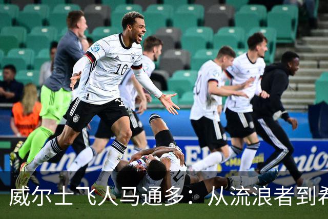 威尔士飞人马通多：从流浪者到希伯尼安的新篇章