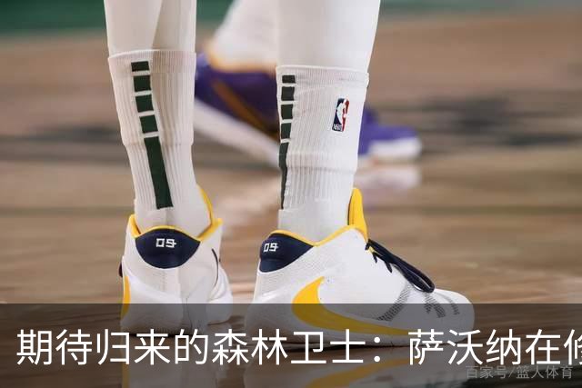 期待归来的森林卫士：萨沃纳在修炼中等候