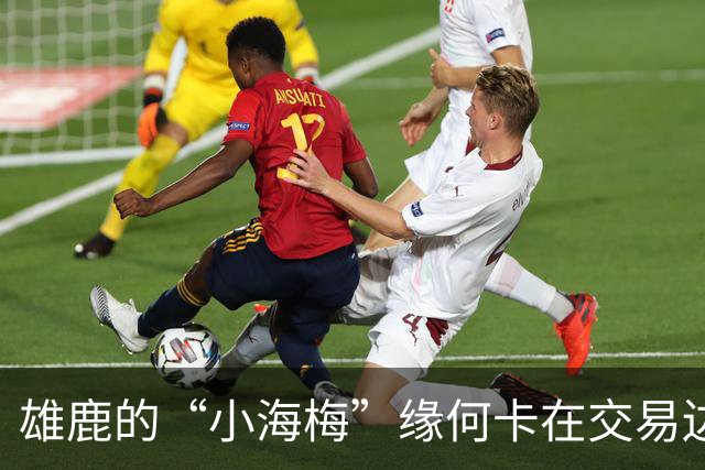 雄鹿的“小海梅”缘何卡在交易边缘？听我娓娓道来！